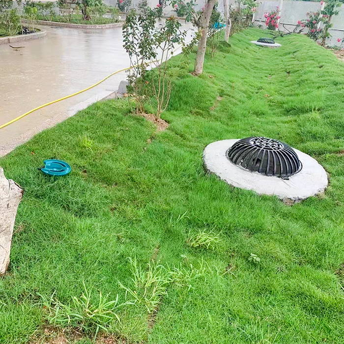 海綿城市雨水收集