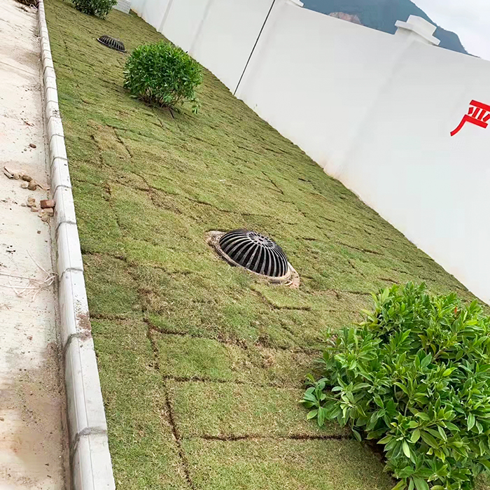海綿城市雨水收集